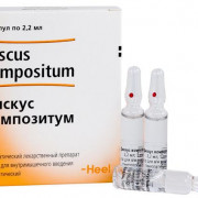 small-diskus-kompozitum-r-r-dlya-v/m-vv-gomeopat-2,2ml-n5-amp-pk-0